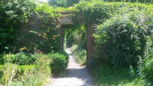 Doorway in a tall hedge